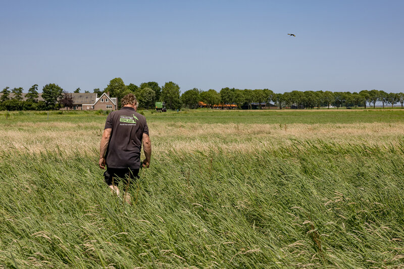 René Stalenhoef struint door zijn grasland